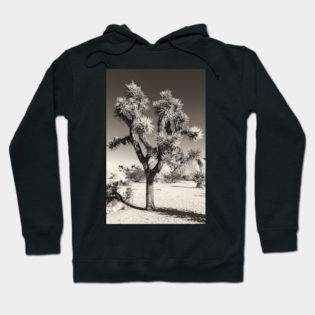 Joshua Tree bw Hoodie by jvnimages